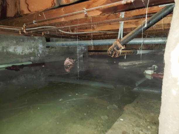 Best Flooded house restoration  in Broken Bow, NE