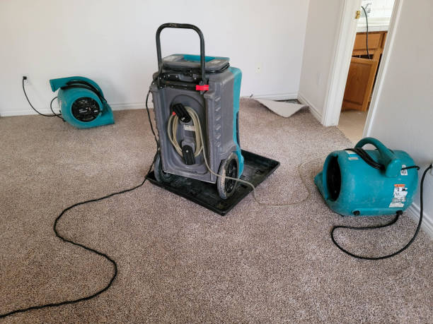 Best Local water damage restoration  in Broken Bow, NE