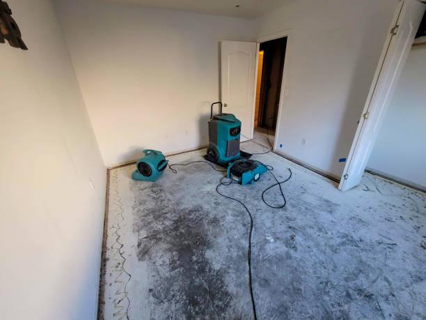 Best Water damage restoration company  in Broken Bow, NE