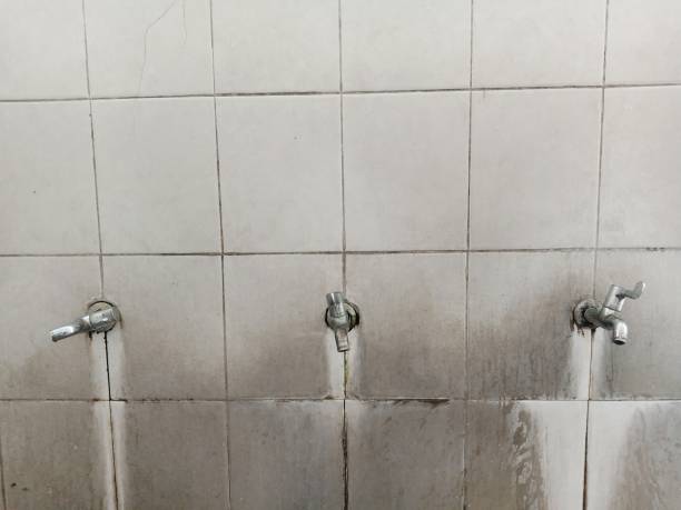 Best Sewage cleanup and water damage restoration  in Broken Bow, NE