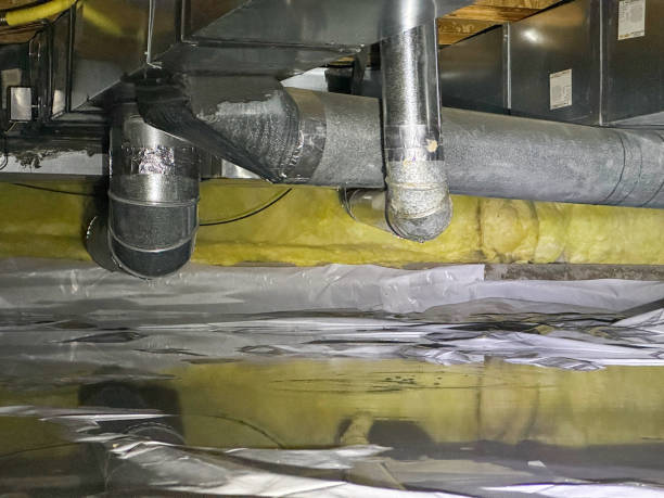Best Basement water damage restoration  in Broken Bow, NE